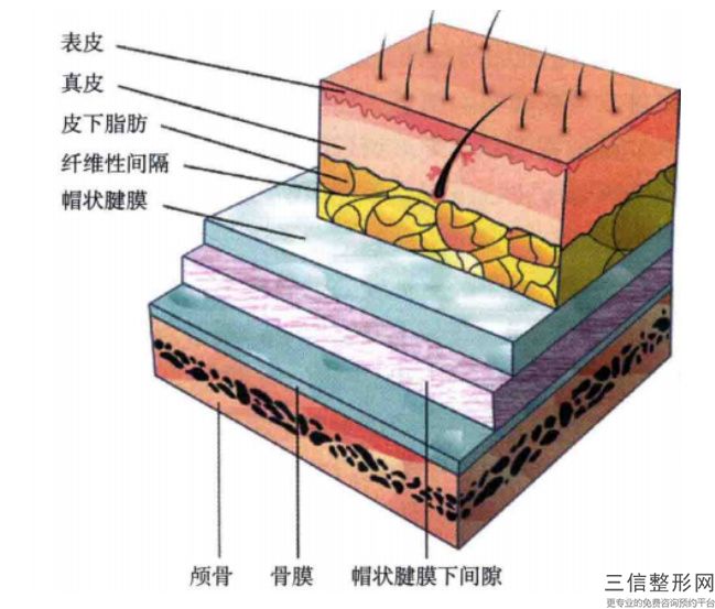 北京植发医院哪家技术好,2022北京有权威的植发医院排名首次上榜