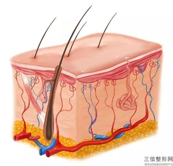 成都可以植发的三甲医院，成都有什么植发医院比较好
