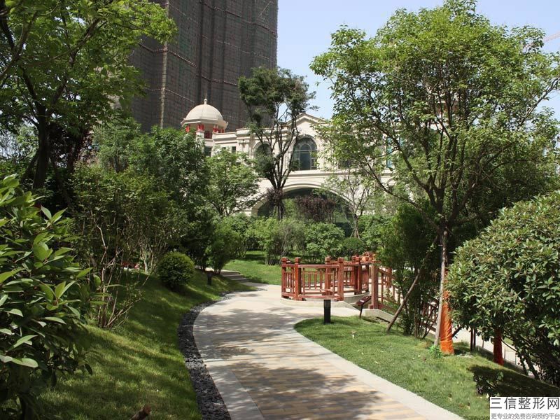 上海SHT毛发种植整容大约价格多少(2022年09月SHT毛发种植均价为：4334元)